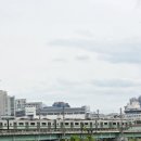 송정부분정비 | 송정제방 벚꽃길 5월 방문 후기, 벚꽃은 없지만 푸르른 자연 속 힐링
