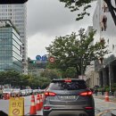 펫넘버원 | 코엑스 케이펫페어 후기 및 일산 킨텍스 메가주 일정 꿀팁