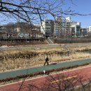 3539 | 은평구 라멘 맛집 발견! 진한 국물이 예술인 인생 토리빠이탄 후기