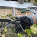 들뫼영농조합법인 이미지