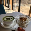 포레스트테일