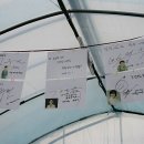 오삼~팜