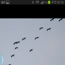 자라 앞 이미지