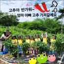 예촌어린이집 - 관악구 | 예촌어린이집