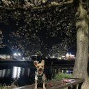 송해보건지소 이미지