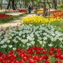 용비쉼터 이미지