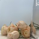 (주)에프엘