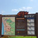 학암포 해당화 | 충남 태안 1박 2일 캠핑 여행