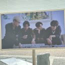 요푸네일