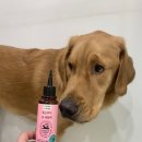 다솜바이오 이미지