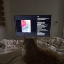 라뽀동물병원 | [ 일상 ] 2월 2주차 직장인 일상 만족스러운 주말, 김현아 방문, 호카 아울렛, 고양이랑 함께한 주말...