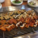 여자만장어 이미지