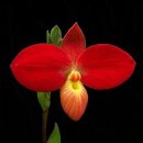 주공부동산뉴스공인중개사사무소 이미지