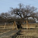 사철농장 이미지