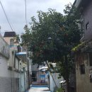 어바웃더베이크 이미지