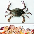 밥도둑 Daum카페