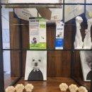 몽클똥개 이미지