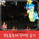 초롱슈퍼 | 서울 청계천 빛초롱축제 잉어킹 왕창 보고온 날 3구역 광교~장통교 포토스팟 후기