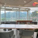 마당이바다 | 남양주 팔당댐, 연중무휴 경치좋은 반려동물 동반 가능한 초대형 카페 추천 - 봉주르팔당