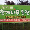 만리포헛개나무농장 네이버블로그