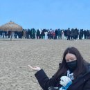 하니캣 이미지