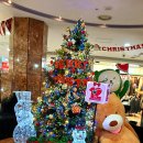 문화의거리 이미지