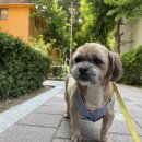 남현우동물병원 이미지