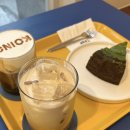 한양대학2길 | 안산 한양대 에리카 근처 카페 코이노 방문후기