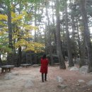 동현중학교 이미지