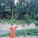 대동훼미리디자인