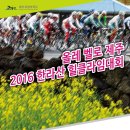 제주힐 이미지