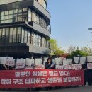 약손 머니투데이