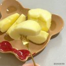 청송농장 | 부사사과 유명한 청송사과 정착한 곳 추천