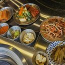 수원너구리회관 이미지