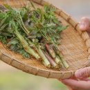 김종규 농장 이미지