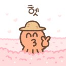 주니텍스 이미지