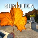 국가정원(동문) | 순천만 국가정원 동문 카페 식물원 2시간코스로 다녀온 마지막 가을여행