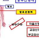 백년건강의료기