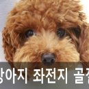 우신정형외과 이미지