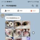 키다리동물병원 이미지