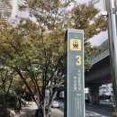 행정사법인 부산 이미지