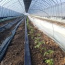 오기농장 이미지