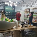 텐즈힐 애견미용 이미지