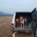 미미코코 이미지