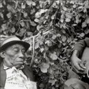 모티브델타 이미지