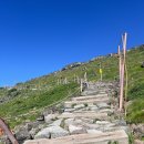 제주소요 | 제주 한라산 성판악코스 초보 등산 후기 소요시간 주차장 꿀팁