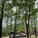 GR(봉화군)-[청옥로]-하-15 | 봉화 여행_국립 청옥산 자연휴양림 숙박 후기