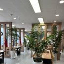 대교웰빙음식카페 이미지