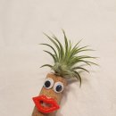 세상을위로하는 따뜻한 힘 힐링원예 이미지