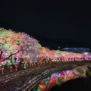 수안보족욕길 이미지